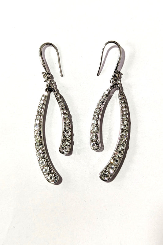 Silver Gem Long Earrings