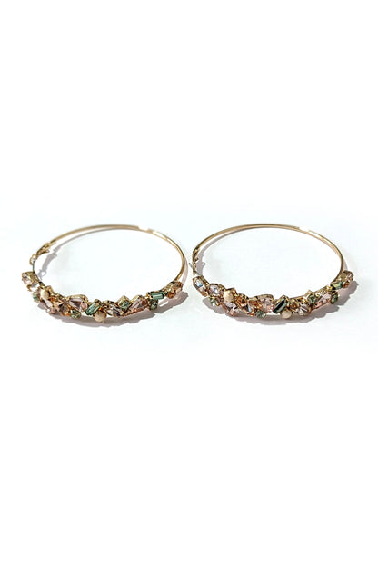 Multi Encrusted Hoop Earrings